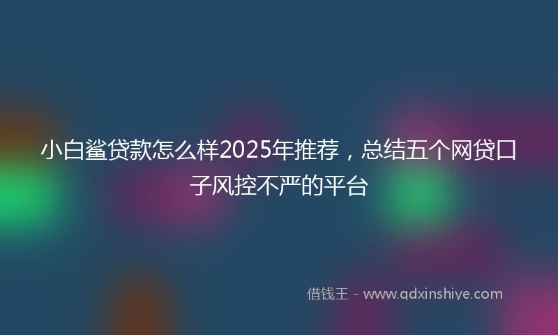 小白鲨贷款怎么样2025年推荐，总结五个网贷口子风控不严的平台