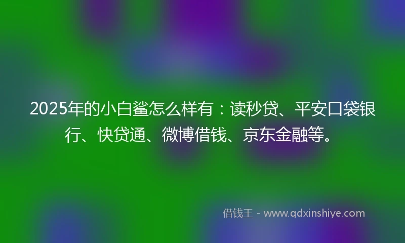 2025年的小白鲨怎么样有：读秒贷、平安口袋银行、快贷通、微博借钱、京东金融等。