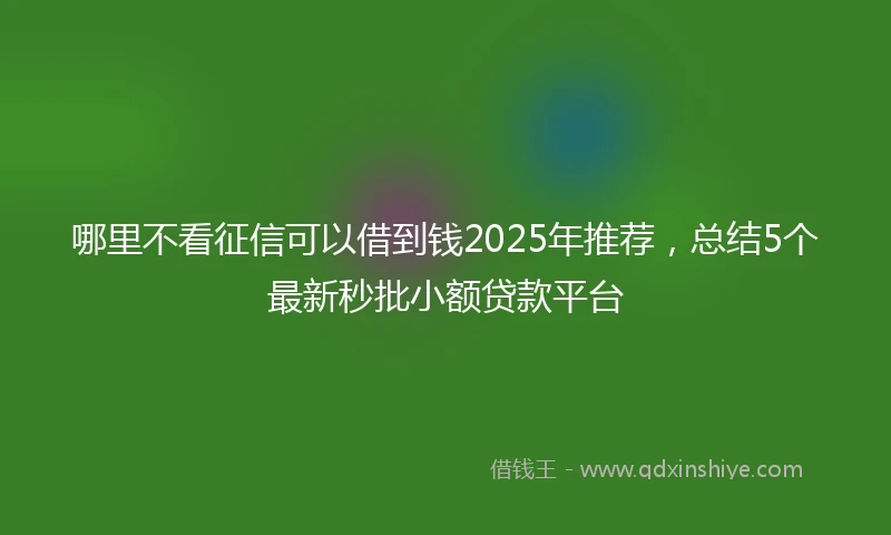 哪里不看征信可以借到钱2025年推荐，总结5个最新秒批小额贷款平台
