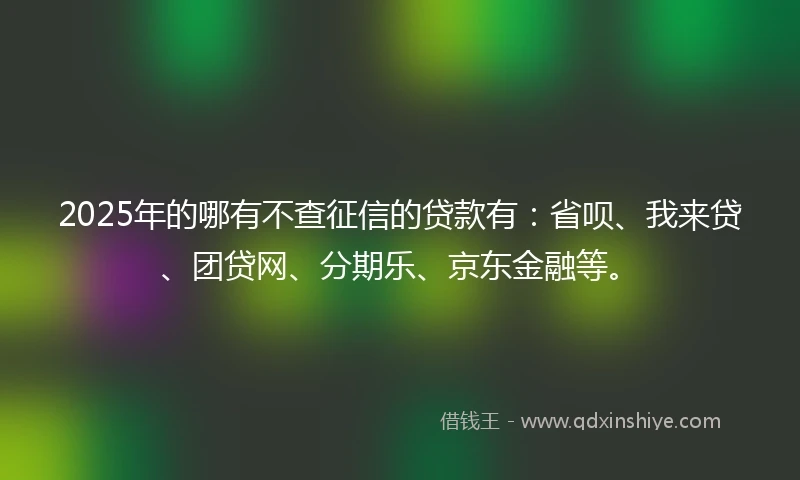 2025年的哪有不查征信的贷款有：省呗、我来贷、团贷网、分期乐、京东金融等。