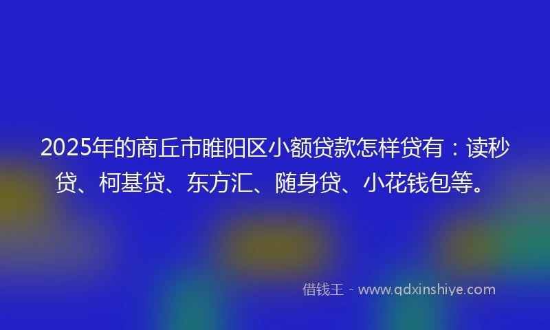 2025年的商丘市睢阳区小额贷款怎样贷有：读秒贷、柯基贷、东方汇、随身贷、小花钱包等。