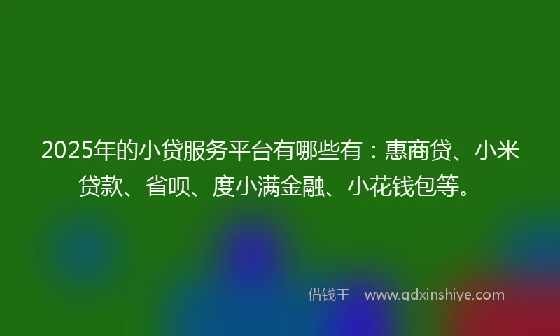 2025年的小贷服务平台有哪些有：惠商贷、小米贷款、省呗、度小满金融、小花钱包等。