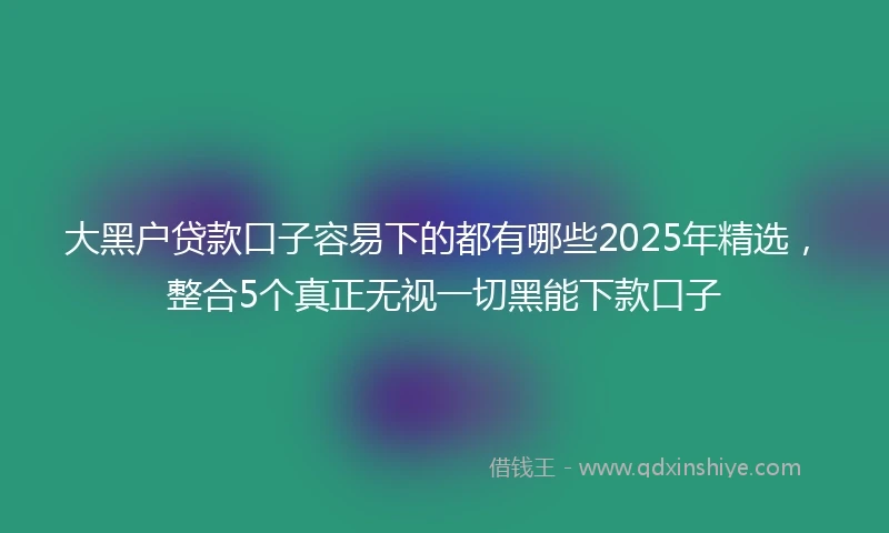大黑户贷款口子容易下的都有哪些2025年精选，整合5个真正无视一切黑能下款口子