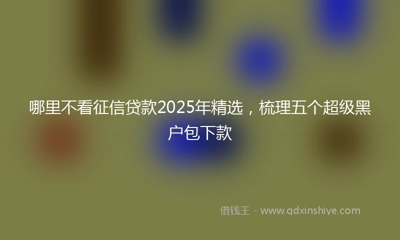 哪里不看征信贷款2025年精选，梳理五个超级黑户包下款