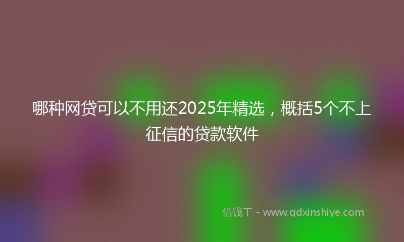 哪种网贷可以不用还2025年精选，概括5个不上征信的贷款软件