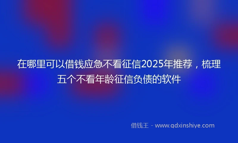 在哪里可以借钱应急不看征信2025年推荐，梳理五个不看年龄征信负债的软件