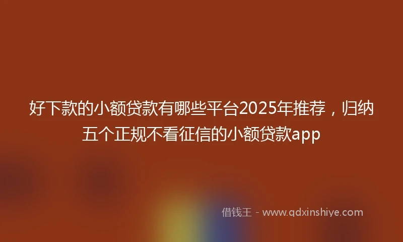 好下款的小额贷款有哪些平台2025年推荐，归纳五个正规不看征信的小额贷款app
