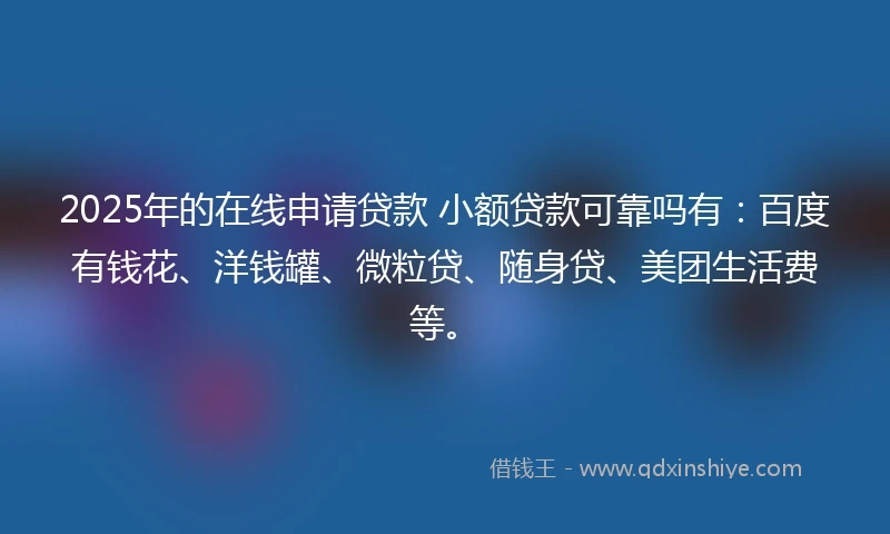 2025年的在线申请贷款 小额贷款可靠吗有：百度有钱花、洋钱罐、微粒贷、随身贷、美团生活费等。