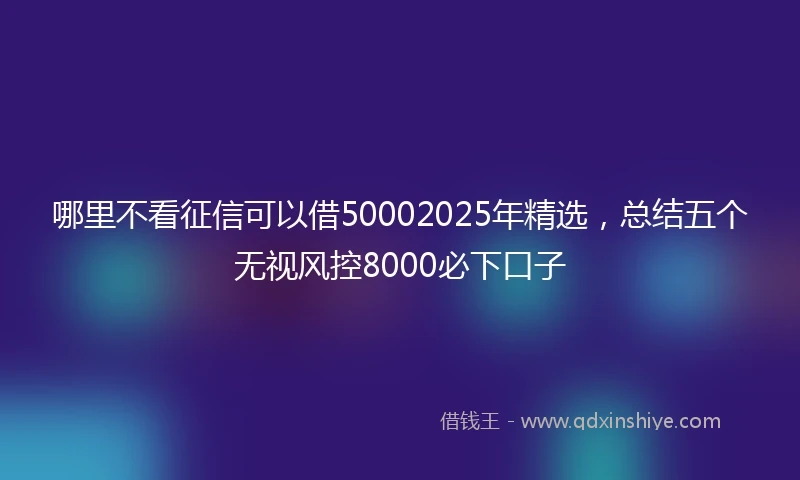 哪里不看征信可以借50002025年精选，总结五个无视风控8000必下口子