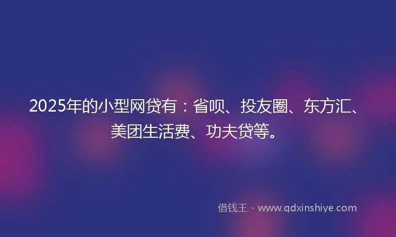 2025年的小型网贷有：省呗、投友圈、东方汇、美团生活费、功夫贷等。