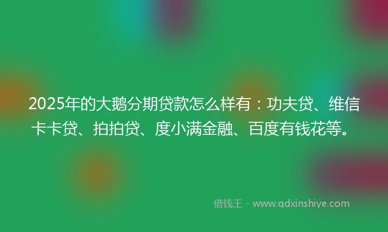2025年的大鹅分期贷款怎么样有：功夫贷、维信卡卡贷、拍拍贷、度小满金融、百度有钱花等。