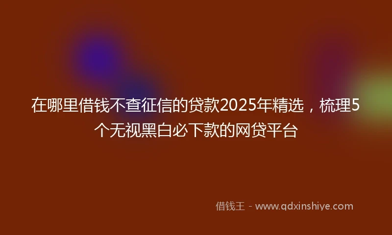 在哪里借钱不查征信的贷款2025年精选，梳理5个无视黑白必下款的网贷平台