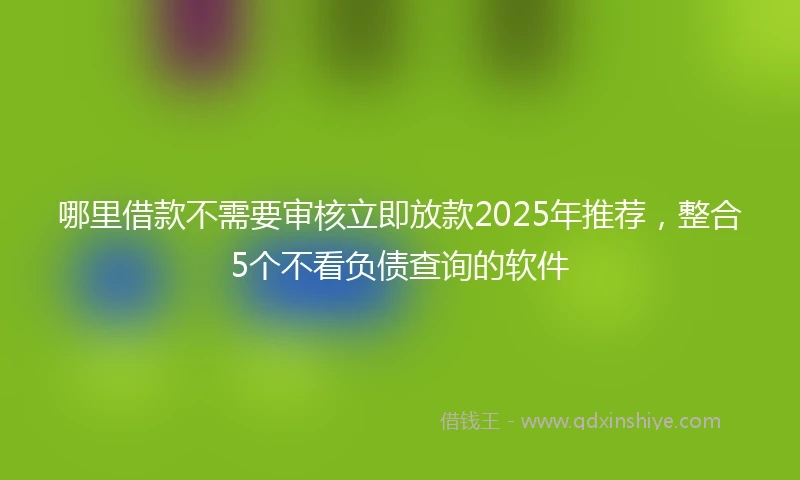 哪里借款不需要审核立即放款2025年推荐，整合5个不看负债查询的软件