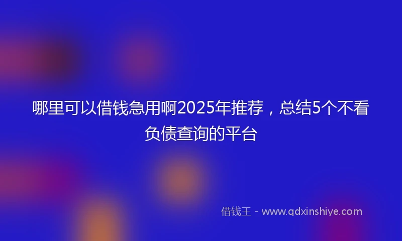 哪里可以借钱急用啊2025年推荐，总结5个不看负债查询的平台