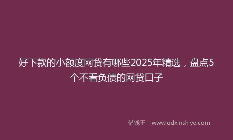 好下款的小额度网贷有哪些2025年精选，盘点5个不看负债的网贷口子