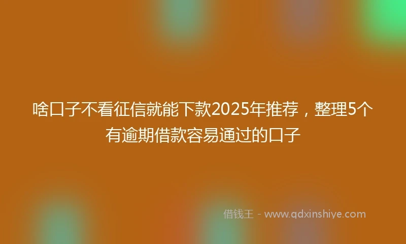 啥口子不看征信就能下款2025年推荐，整理5个有逾期借款容易通过的口子
