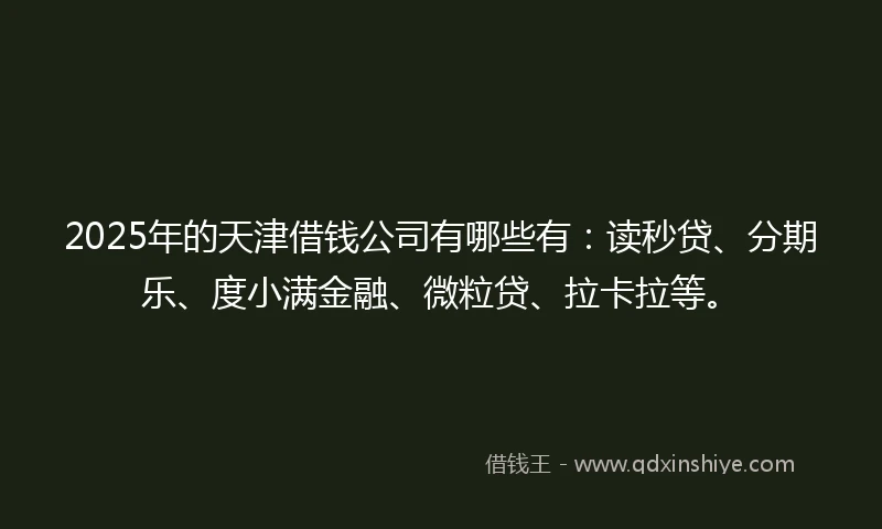 2025年的天津借钱公司有哪些有：读秒贷、分期乐、度小满金融、微粒贷、拉卡拉等。