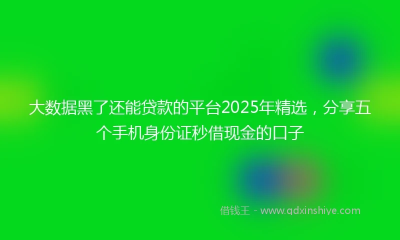 大数据黑了还能贷款的平台2025年精选，分享五个手机身份证秒借现金的口子
