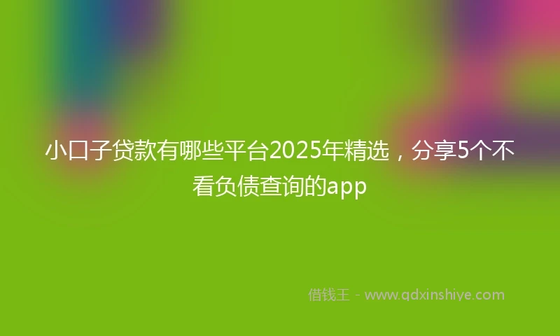 小口子贷款有哪些平台2025年精选，分享5个不看负债查询的app