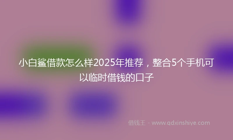 小白鲨借款怎么样2025年推荐，整合5个手机可以临时借钱的口子