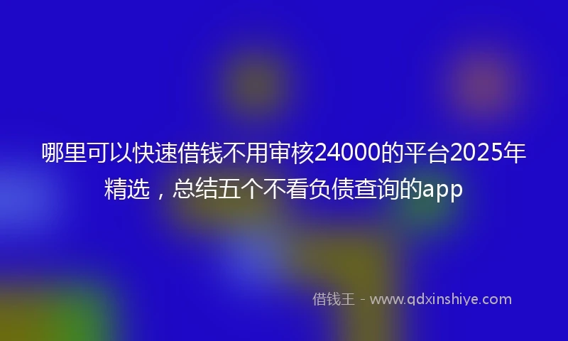 哪里可以快速借钱不用审核24000的平台2025年精选，总结五个不看负债查询的app