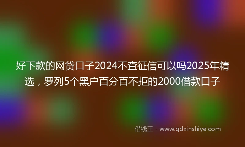 好下款的网贷口子2024不查征信可以吗2025年精选，罗列5个黑户百分百不拒的2000借款口子