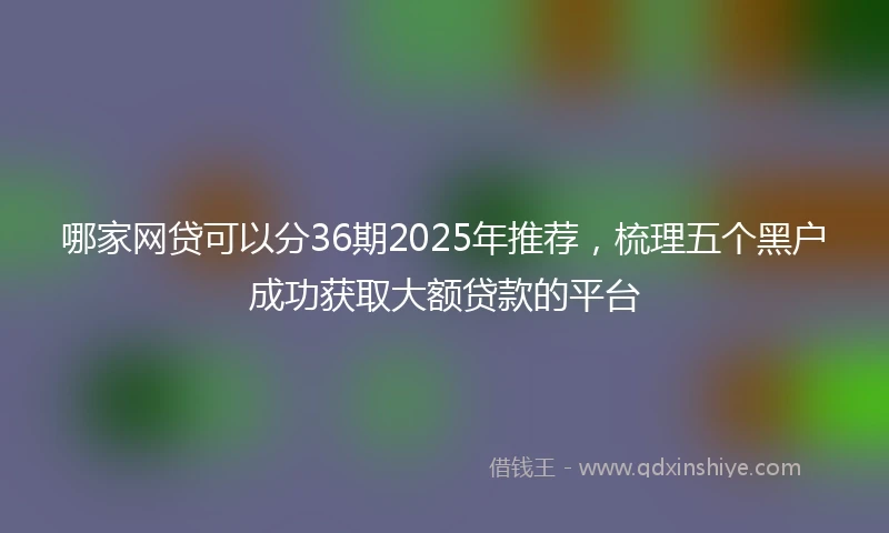 哪家网贷可以分36期2025年推荐，梳理五个黑户成功获取大额贷款的平台
