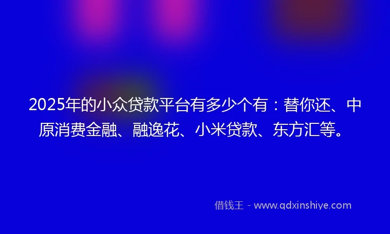 2025年的小众贷款平台有多少个有：替你还、中原消费金融、融逸花、小米贷款、东方汇等。