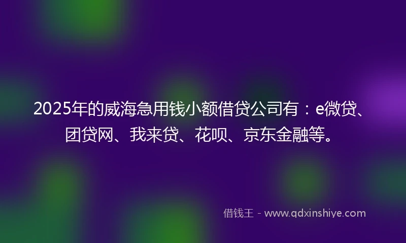 2025年的威海急用钱小额借贷公司有：e微贷、团贷网、我来贷、花呗、京东金融等。