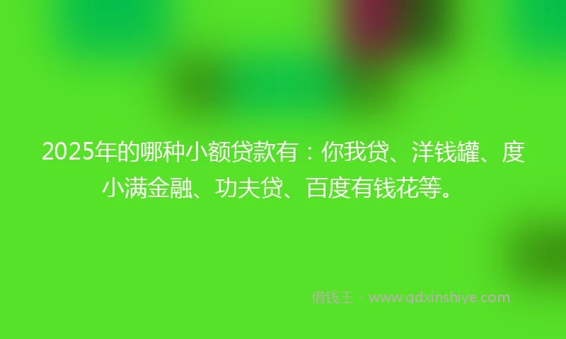 2025年的哪种小额贷款有：你我贷、洋钱罐、度小满金融、功夫贷、百度有钱花等。