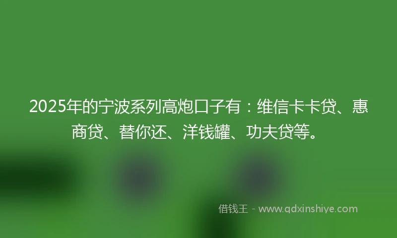 2025年的宁波系列高炮口子有：维信卡卡贷、惠商贷、替你还、洋钱罐、功夫贷等。