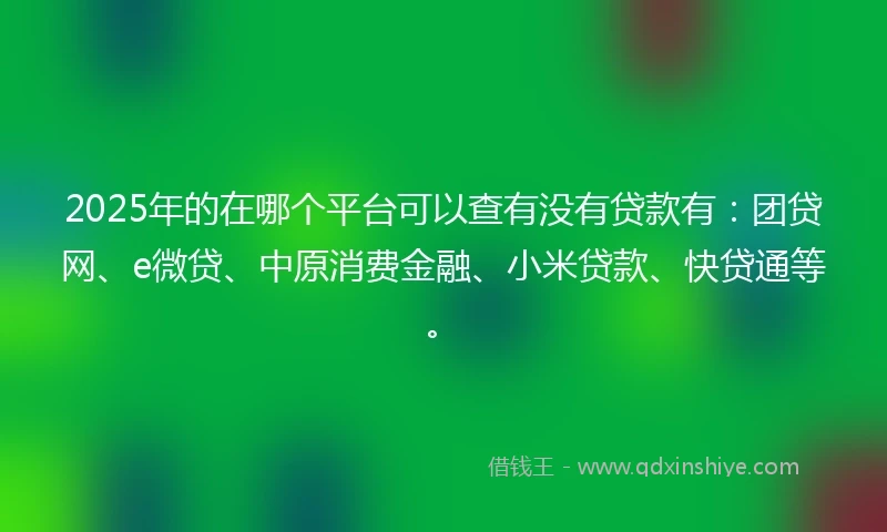 2025年的在哪个平台可以查有没有贷款有：团贷网、e微贷、中原消费金融、小米贷款、快贷通等。