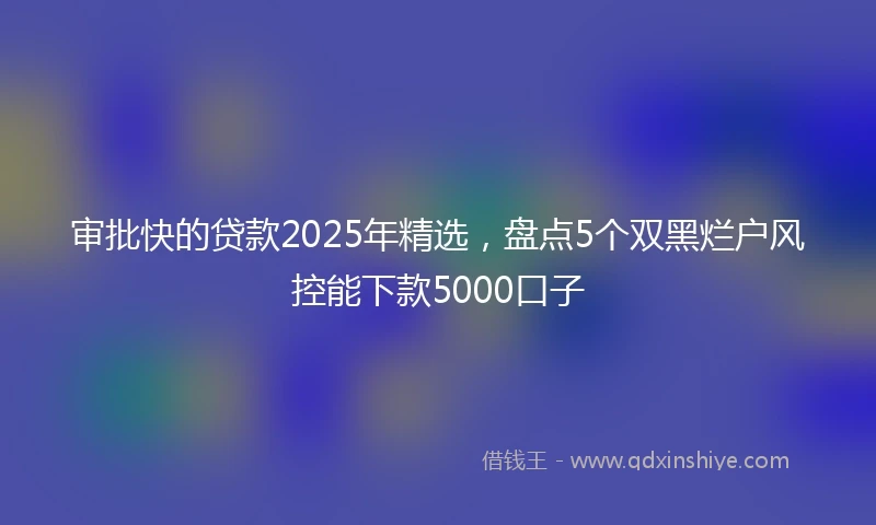 审批快的贷款2025年精选，盘点5个双黑烂户风控能下款5000口子