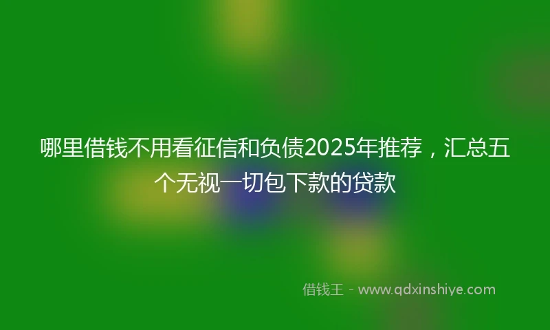 哪里借钱不用看征信和负债2025年推荐，汇总五个无视一切包下款的贷款