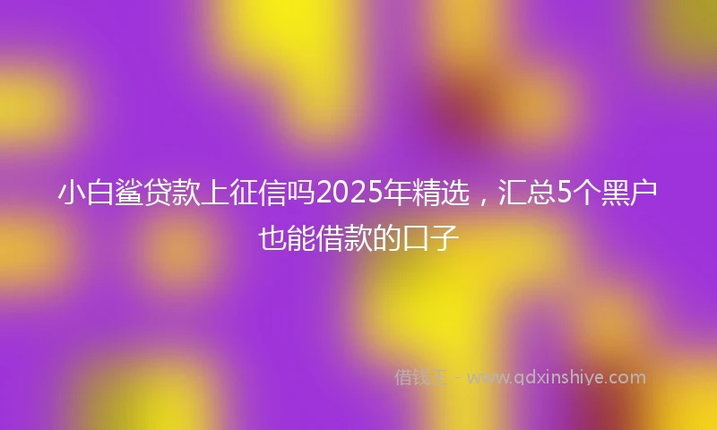小白鲨贷款上征信吗2025年精选，汇总5个黑户也能借款的口子