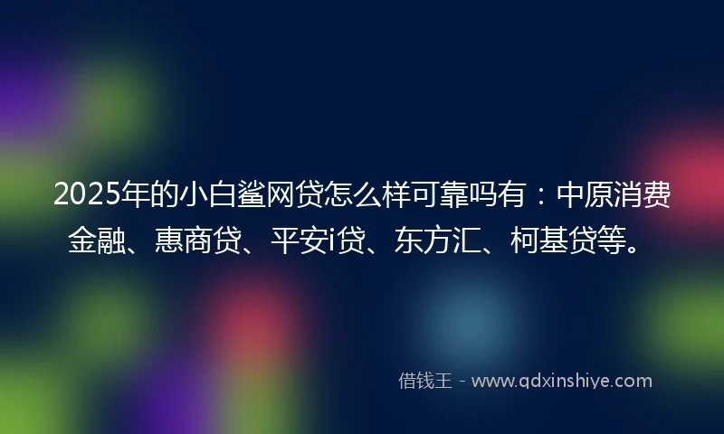 2025年的小白鲨网贷怎么样可靠吗有：中原消费金融、惠商贷、平安i贷、东方汇、柯基贷等。
