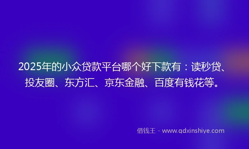 2025年的小众贷款平台哪个好下款有：读秒贷、投友圈、东方汇、京东金融、百度有钱花等。