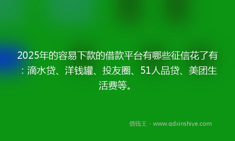 2025年的容易下款的借款平台有哪些征信花了有：滴水贷、洋钱罐、投友圈、51人品贷、美团生活费等。