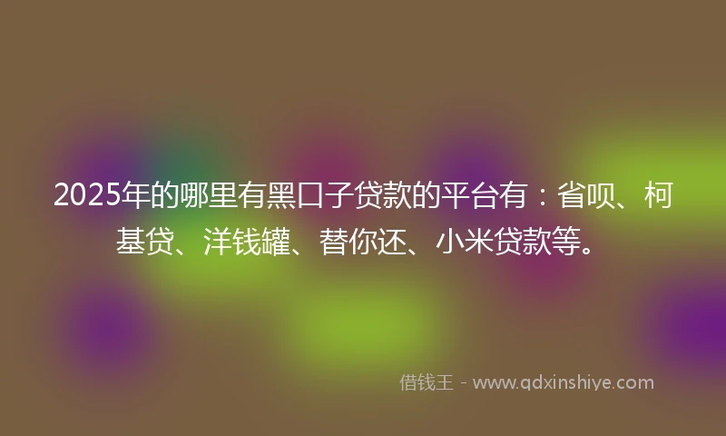 2025年的哪里有黑口子贷款的平台有：省呗、柯基贷、洋钱罐、替你还、小米贷款等。