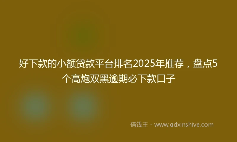 好下款的小额贷款平台排名2025年推荐，盘点5个高炮双黑逾期必下款口子