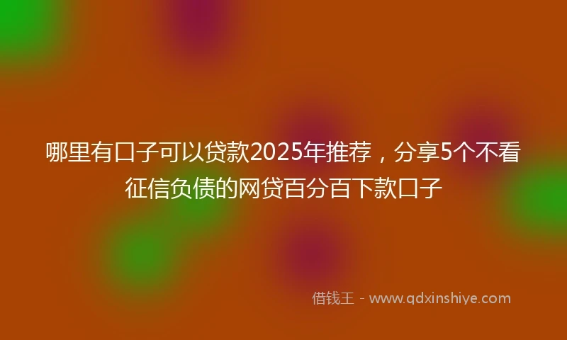 哪里有口子可以贷款2025年推荐，分享5个不看征信负债的网贷百分百下款口子