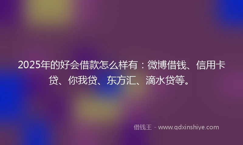 2025年的好会借款怎么样有：微博借钱、信用卡贷、你我贷、东方汇、滴水贷等。