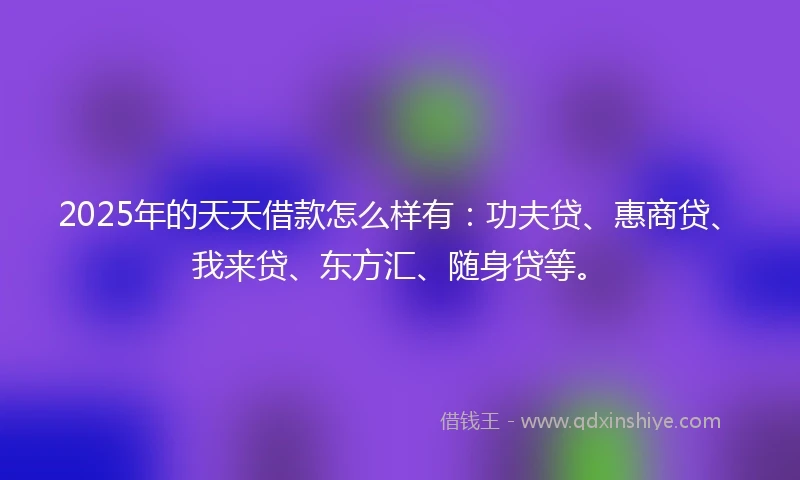 2025年的天天借款怎么样有：功夫贷、惠商贷、我来贷、东方汇、随身贷等。