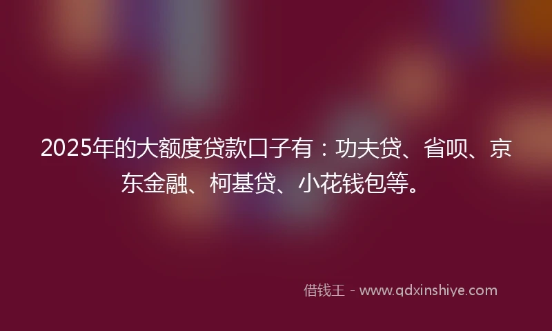 2025年的大额度贷款口子有：功夫贷、省呗、京东金融、柯基贷、小花钱包等。