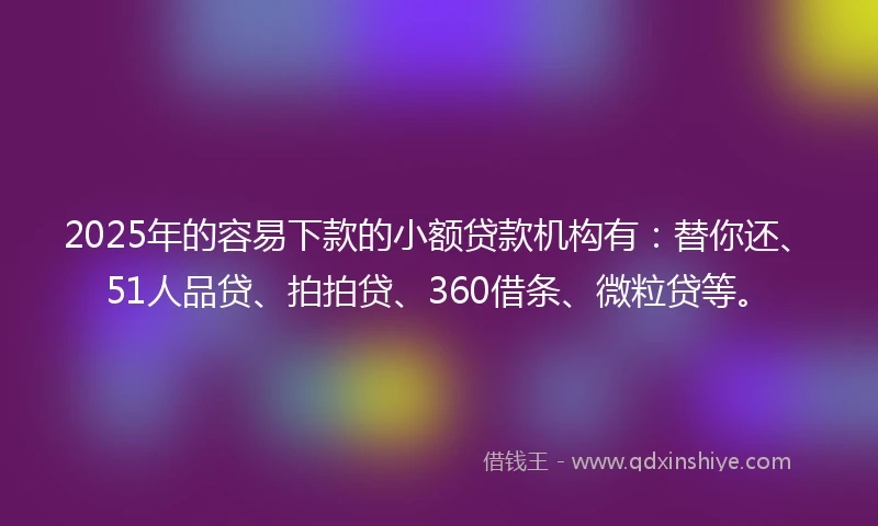 2025年的容易下款的小额贷款机构有：替你还、51人品贷、拍拍贷、360借条、微粒贷等。