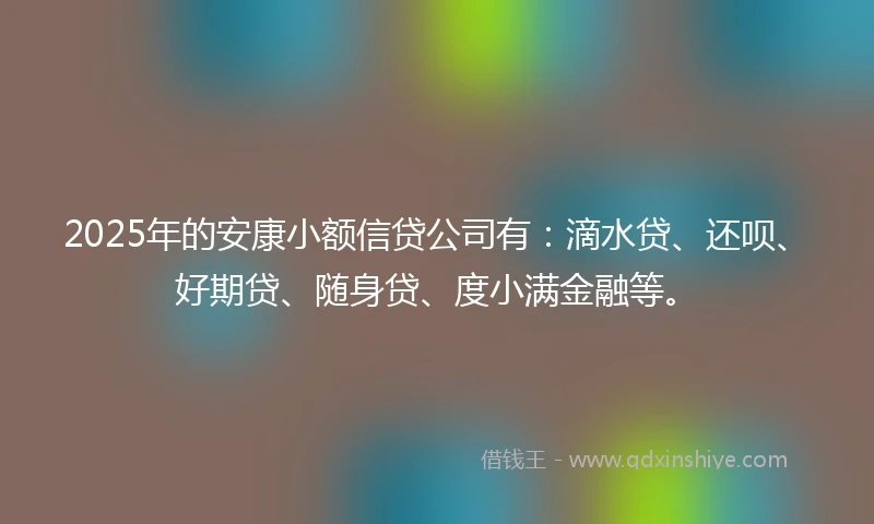 2025年的安康小额信贷公司有：滴水贷、还呗、好期贷、随身贷、度小满金融等。