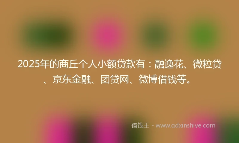 2025年的商丘个人小额贷款有：融逸花、微粒贷、京东金融、团贷网、微博借钱等。