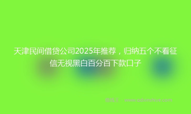 天津民间借贷公司2025年推荐，归纳五个不看征信无视黑白百分百下款口子
