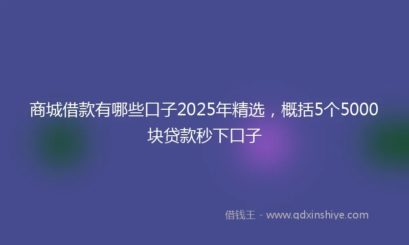商城借款有哪些口子2025年精选，概括5个5000块贷款秒下口子