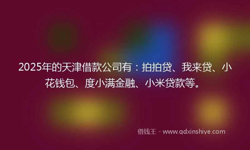 2025年的天津借款公司有：拍拍贷、我来贷、小花钱包、度小满金融、小米贷款等。